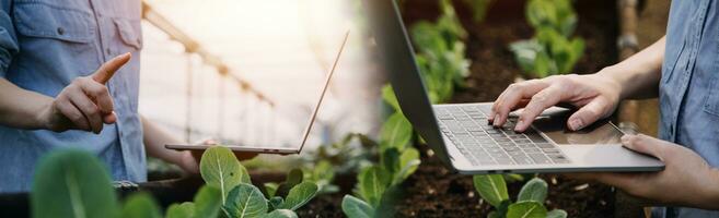 Asian woman farmer using digital tablet in vegetable garden at greenhouse, Business agriculture technology concept, quality smart farmer. photo