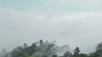 berg reeks met zichtbaar silhouetten door de ochtend- blauw mist. video