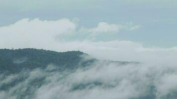 Berg Angebot mit sichtbar Silhouetten durch das Morgen Blau Nebel. video