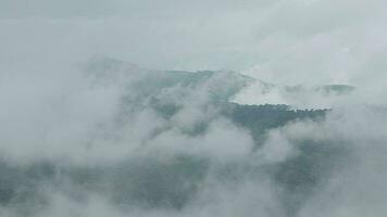 montaña rango con visible siluetas mediante el Mañana azul niebla. video