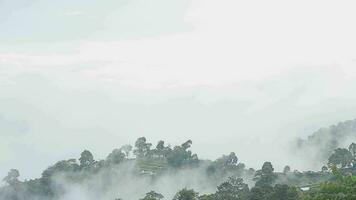 Mountain range with visible silhouettes through the morning blue fog. video