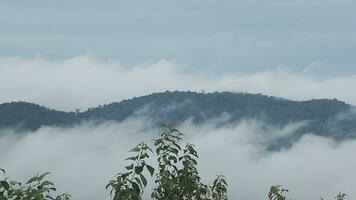 Mountain range with visible silhouettes through the morning blue fog. video