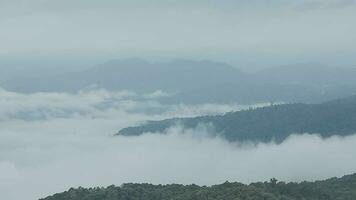 montaña rango con visible siluetas mediante el Mañana azul niebla. video