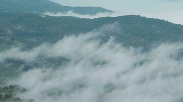 berg räckvidd med synlig silhuetter genom de morgon- blå dimma. video