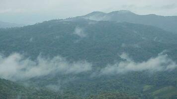 montaña rango con visible siluetas mediante el Mañana azul niebla. video