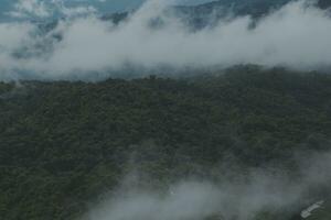 Aerial view of Foggy landscape in the jungle. Fog and cloud