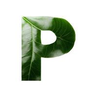 Green leaf typography text design uppercase alphabet P, AI Generative photo