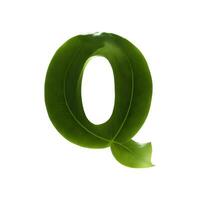 Green leaf typography text design uppercase alphabet Q, photo