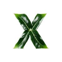 Green leaf typography text design uppercase alphabet X, photo