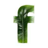 Green leaf typography text design lowercase alphabet f, photo