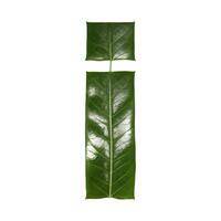 Green leaf typography text design lowercase alphabet i, photo