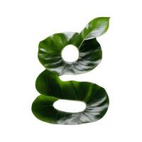 Green leaf typography text design lowercase alphabet g, AI Generative photo