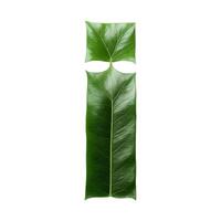 Green leaf typography text design lowercase alphabet i, photo
