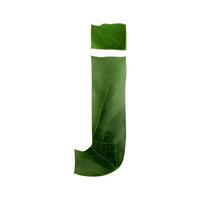 Green leaf typography text design lowercase alphabet j, photo