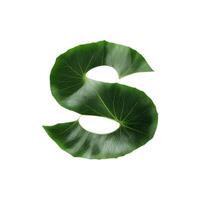 Green leaf typography text design lowercase alphabet s, AI Generative photo