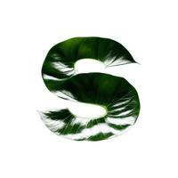 Green leaf typography text design lowercase alphabet s, photo
