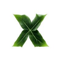 Green leaf typography text design lowercase alphabet x, AI Generative photo