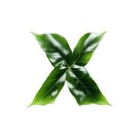 Green leaf typography text design lowercase alphabet x, AI Generative photo