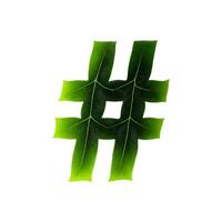 Green leaf typography text design hash tag, photo