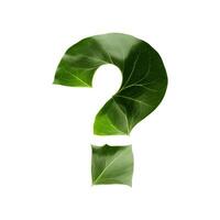 Green leaf typography text design question mark, photo