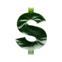 Green leaf typography text design dollar sign, photo