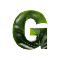 Green leaf typography text design uppercase alphabet G, photo