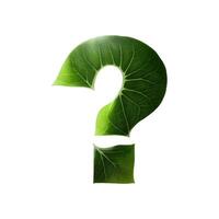 Green leaf typography text design question mark, AI Generative photo