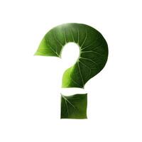 Green leaf typography text design question mark, photo