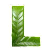 Green leaf typography text design uppercase alphabet L, photo