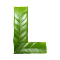 Green leaf typography text design uppercase alphabet L, AI Generative photo