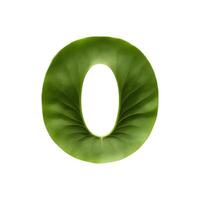 Green leaf typography text design uppercase alphabet O, photo
