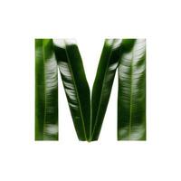 Green leaf typography text design uppercase alphabet M, photo
