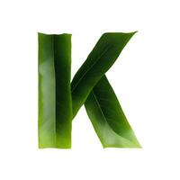 Green leaf typography text design uppercase alphabet K, photo