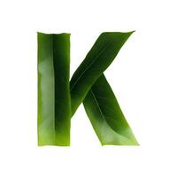 Green leaf typography text design uppercase alphabet K, AI Generative photo