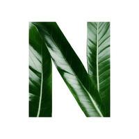 Green leaf typography text design uppercase alphabet N, AI Generative photo