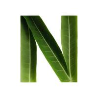 Green leaf typography text design uppercase alphabet N, AI Generative photo