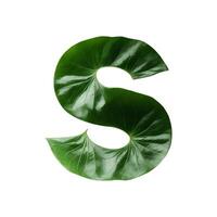 Green leaf typography text design uppercase alphabet S, AI Generative photo