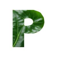 Green leaf typography text design uppercase alphabet P, photo