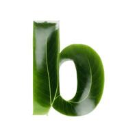 Green leaf typography text design lowercase alphabet b, photo
