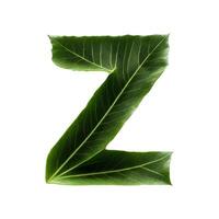 Green leaf typography text design uppercase alphabet Z, AI Generative photo