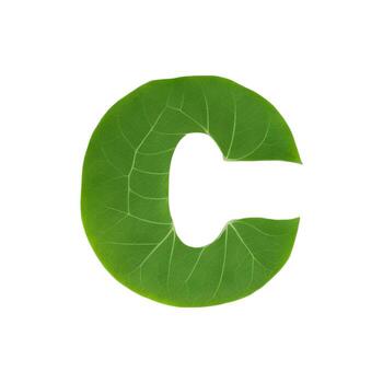 Green leaf typography text design lowercase alphabet c, photo