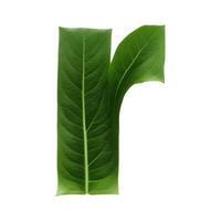 Green leaf typography text design lowercase alphabet r, photo