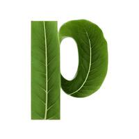 Green leaf typography text design lowercase alphabet p, photo