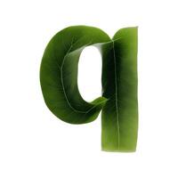 Green leaf typography text design lowercase alphabet q, photo
