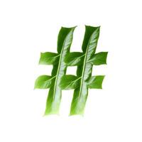 Green leaf typography text design hash tag, photo