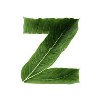 Green leaf typography text design lowercase alphabet z, photo