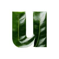 Green leaf typography text design lowercase alphabet u, AI Generative photo