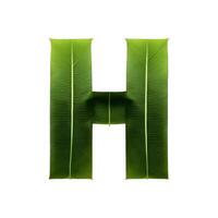 Green leaf typography text design uppercase alphabet H, photo