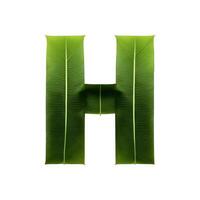 Green leaf typography text design uppercase alphabet H, AI Generative photo