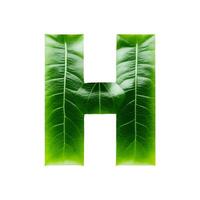 Green leaf typography text design uppercase alphabet H, photo